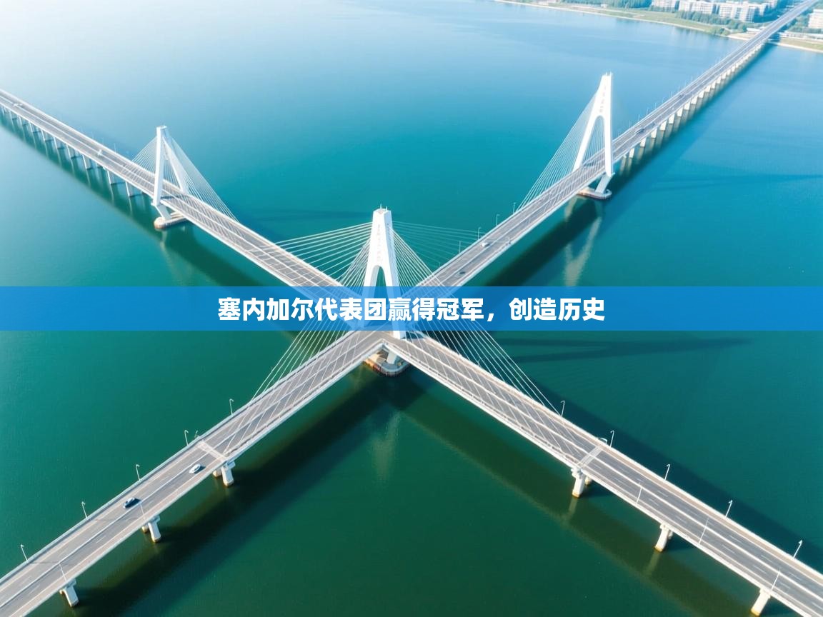 塞内加尔代表团赢得冠军，创造历史  第1张