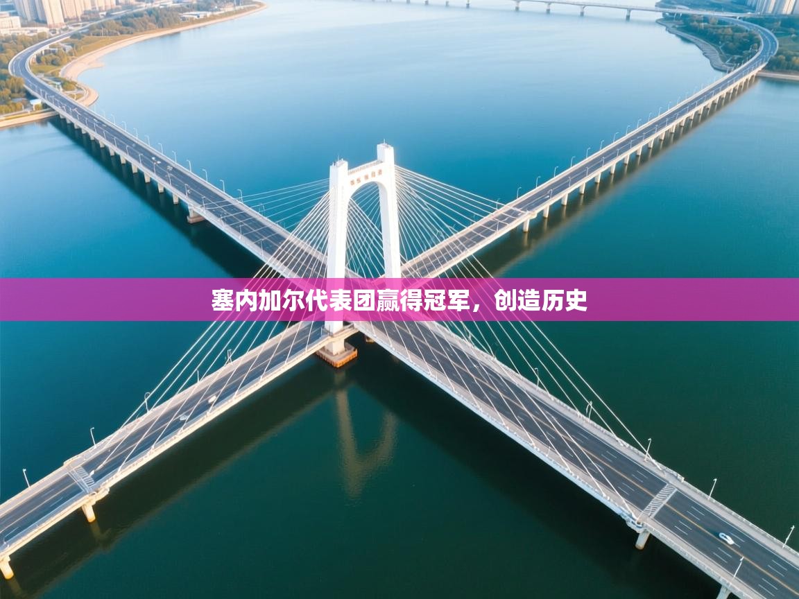 塞内加尔代表团赢得冠军，创造历史  第2张