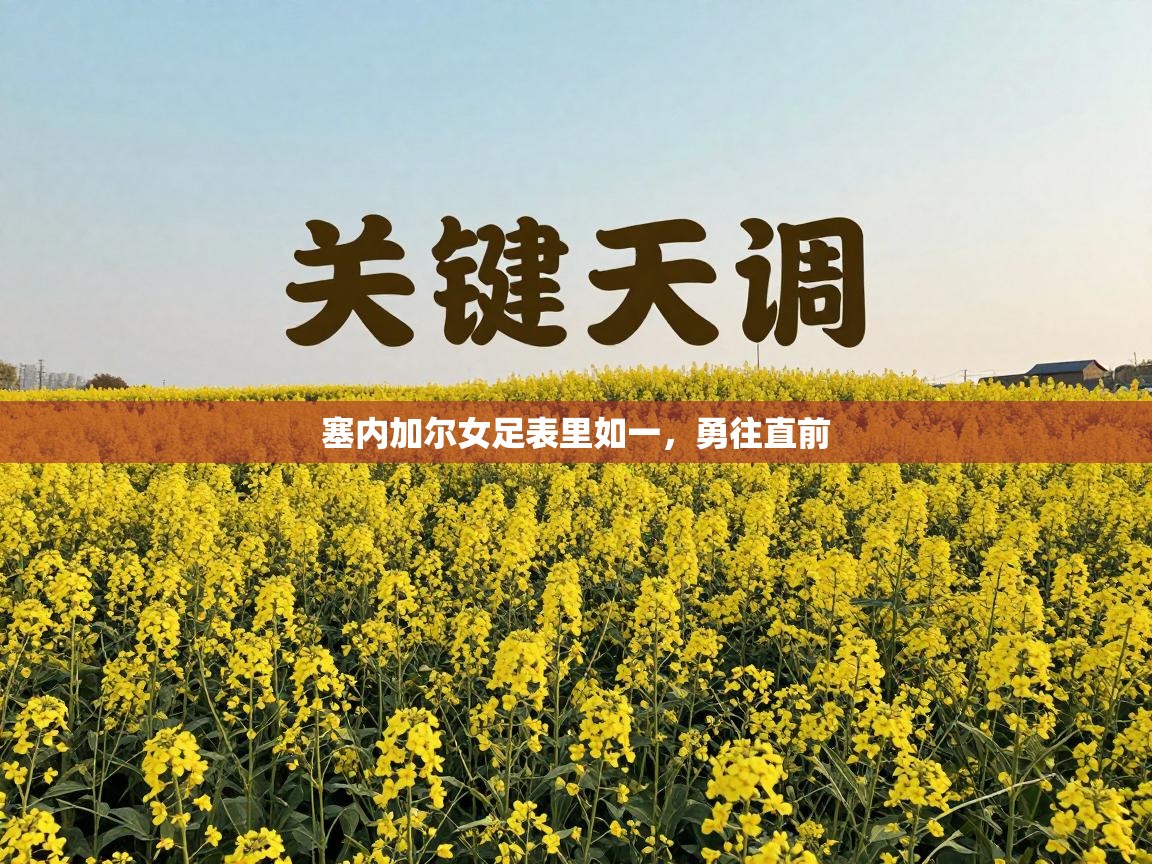 塞内加尔女足表里如一，勇往直前