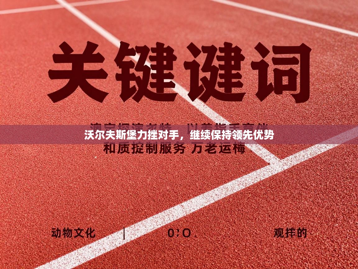 沃尔夫斯堡力挫对手，继续保持领先优势